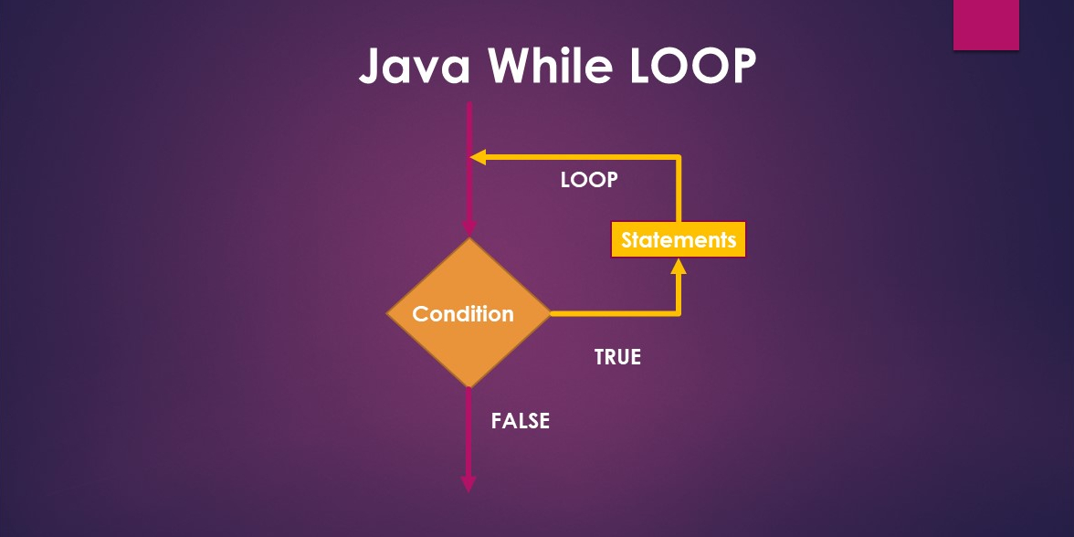 Last Minute Java While Loop With Break And Continue Tutorial ExamTray