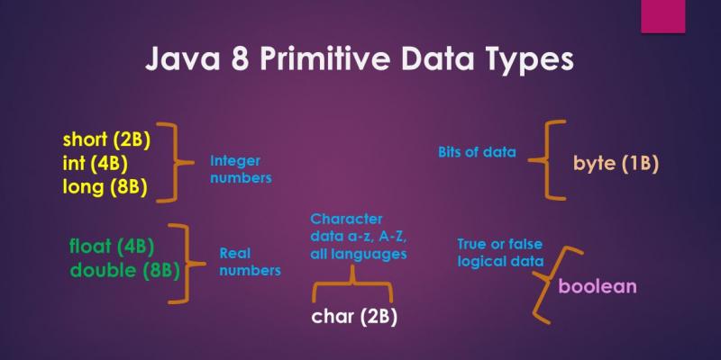 Last Minute Java Programming Primitive Data Types Tutorial | ExamTray