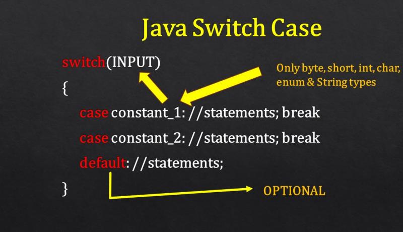 java switch example