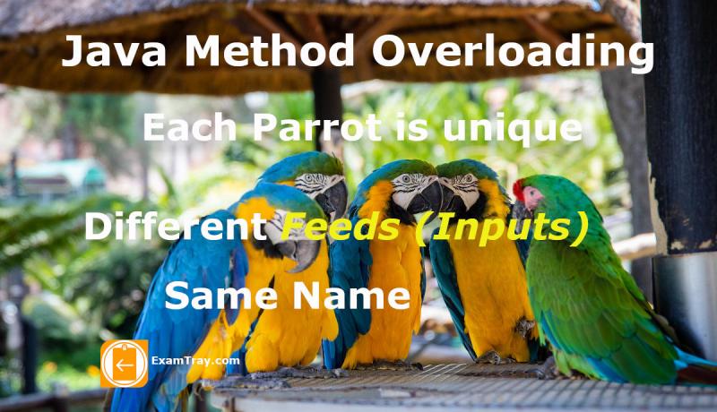 Java Method Overloading Infographic