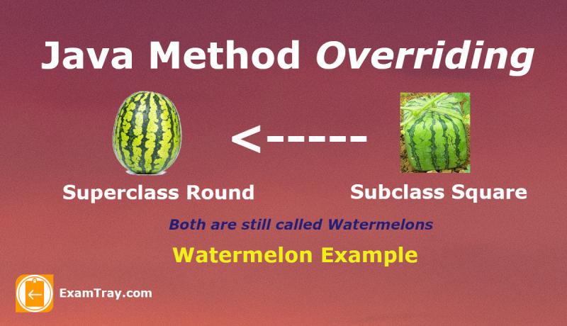 Java Method Overriding Example Infographic
